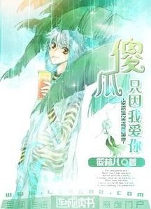 傻瓜，只因我爱你