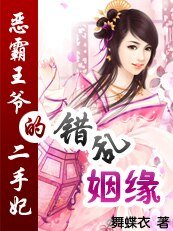 《错乱姻缘:恶霸王爷的二手妃》