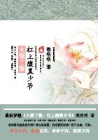 《火爆丫鬟:杠上腹黑少爷》
