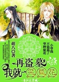 《再盗墓,我就采菊花》