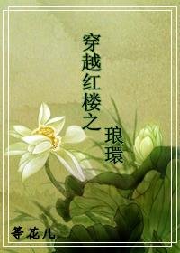 《(红楼梦同人)穿越红楼之琅环/穿越红楼之琅環》