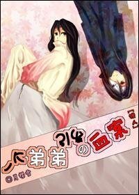 《(猎人同人)一个弟弟引发的血案》