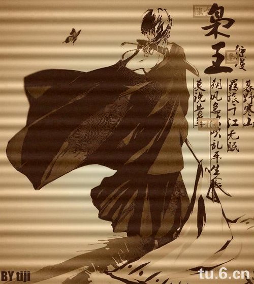 《(综漫同人)枭王》