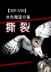 《(HP同人)撕裂》