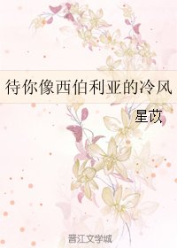 《待你像西伯利亚的冷风》