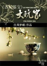 《(鉴宝赌石)大玩家》