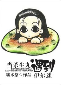 （综漫同人）当杀生丸遇到伊尔迷
