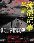 《黑暗流郎记事》