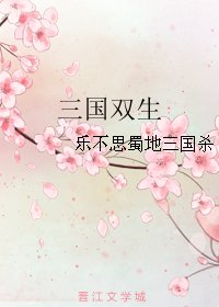 《(三国同人)三国双生》