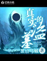 《真实的盗墓》