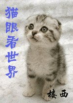 《(猎人同人)猫眼看世界》