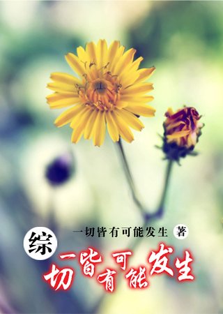 （综同人）一切皆有可能发生