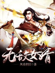 《无敌女婿》
