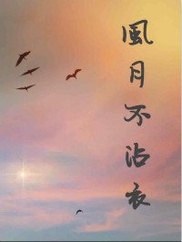 风月不沾衣