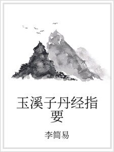 《玉溪子丹经指要》