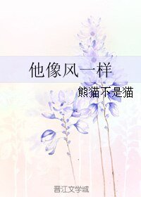 《他像风一样》