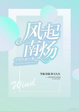 《风起南炀》