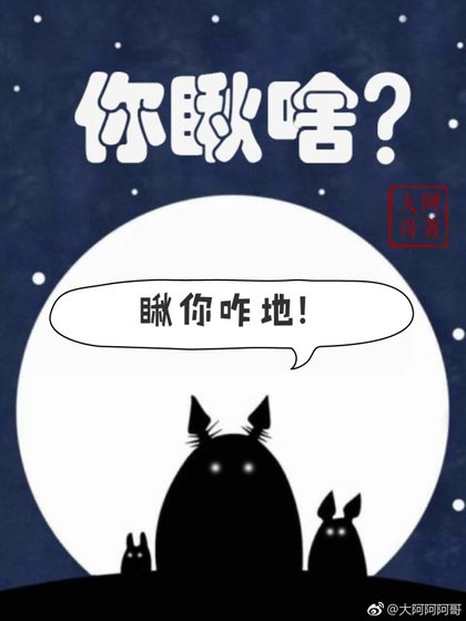 《你瞅啥》