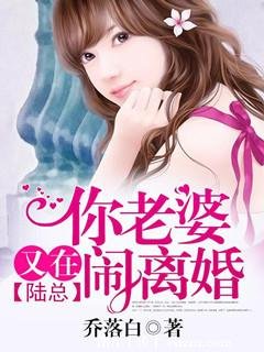 《陆总,你老婆又在闹离婚》
