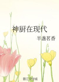 《神厨在现代》