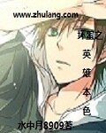 《坏蛋之英雄本色》