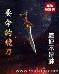 《要命的飞刀》