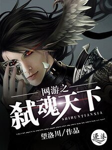 《网游之弑魂天下》