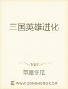 《三国英雄进化》