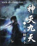 《神灭九天》