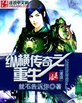 《纵横传奇之重生》