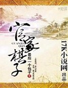 《官家棋子》
