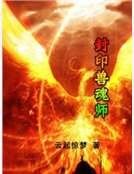 《封印售浑师》