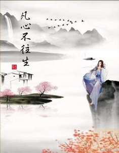 《凡心不往生》