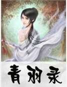《青羽录》