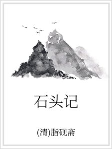 《石头记》