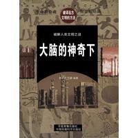 《大脑的神奇下》