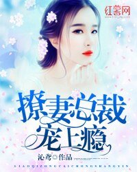 《撩妻总裁宠上瘾》