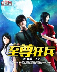 《至尊狂兵》