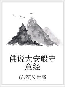 《佛说大安般守意经》