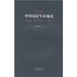 《中国远征军缅北征战纪实(出书版)》