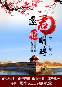 《(历史同人)四八穿越还珠之还君明珠》