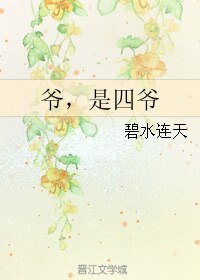 《爷,是四爷》