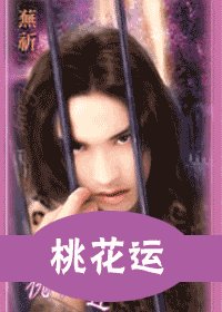 《桃花运(出书版)》