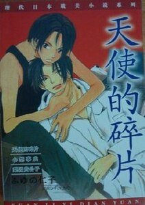 《天使的碎片》