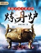 《我抢了太上老君的炼丹炉》