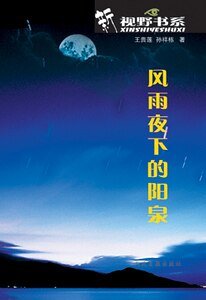 《风雨夜下的阳泉》