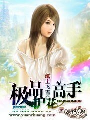 《极品护花高手》