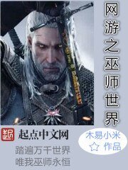 《网游之巫师世界》