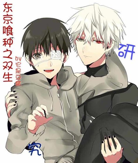 《(东京喰种同人)东京喰种之双生》