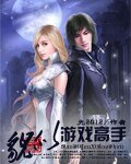 《貌似游戏高手》